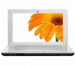 Нетбук Lenovo IdeaPad S100-N435F-1 (59-308110) Flower